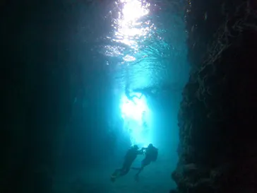 武藤潜水に投稿された画像（2023/9/27）