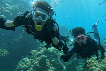 武藤潜水に投稿された画像（2023/9/27）