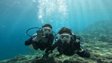 武藤潜水に投稿された画像（2023/9/27）