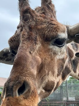 那須サファリパークに投稿された画像（2023/9/27）