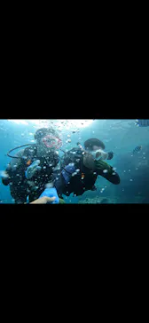 武藤潜水に投稿された画像（2023/9/27）