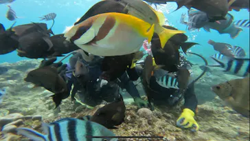 武藤潜水に投稿された画像（2023/9/27）