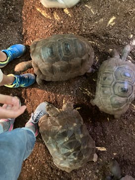 体感型動物園iZooに投稿された画像（2023/9/27）