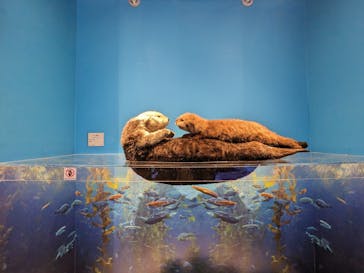 特別展「海　―生命のみなもと―」（国立科学博物館）に投稿された画像（2023/9/27）