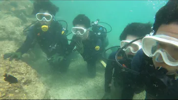 武藤潜水に投稿された画像（2023/9/27）