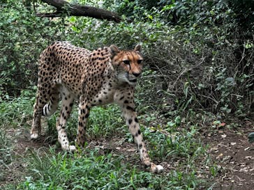 よこはま動物園ズーラシアに投稿された画像（2023/9/27）