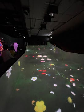 チームラボに投稿された画像（2023/9/27）