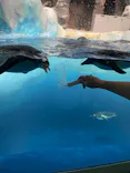 名古屋港水族館に投稿された画像（2023/9/27）