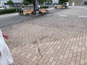 名古屋港水族館に投稿された画像（2023/9/27）