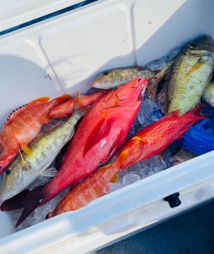 釣り船　博栄丸に投稿された画像（2023/9/27）