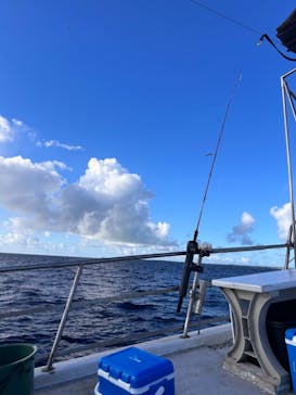 釣り船　博栄丸に投稿された画像（2023/9/27）