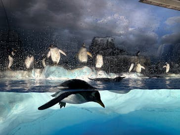 名古屋港水族館に投稿された画像（2023/9/27）