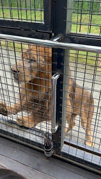 那須サファリパークに投稿された画像（2023/9/27）