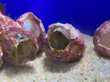 サンシャイン水族館に投稿された画像（2023/9/27）