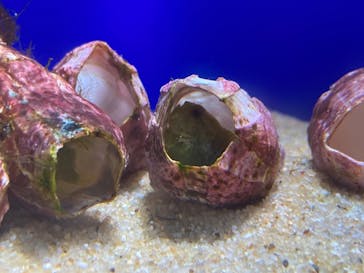 サンシャイン水族館に投稿された画像（2023/9/27）