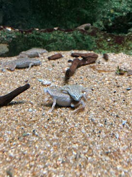 サンシャイン水族館に投稿された画像（2023/9/27）