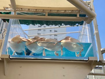 アソビュー！ポイントに投稿された画像（2023/9/27）