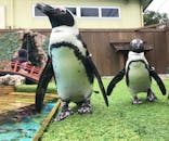 おさるランド＆アニタウン　日光さる軍団劇場に投稿された画像（2023/9/27）