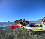 宮古島 ADVENTURE PiPi（ミヤコジマ アドベンチャー ピピ）に投稿された画像（2023/9/27）