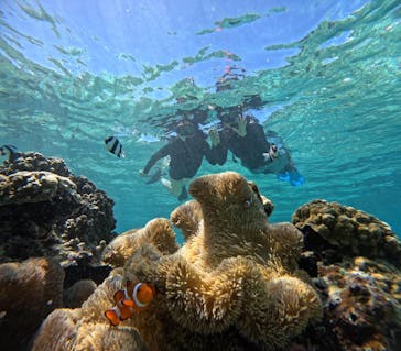 宮古島 ADVENTURE PiPi（ミヤコジマ アドベンチャー ピピ）に投稿された画像（2023/9/27）