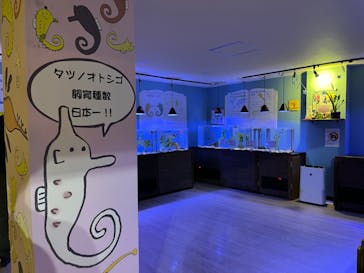 ゼロ距離水族館 伊勢シーパラダイスに投稿された画像（2023/9/27）