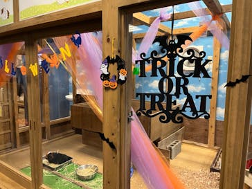 ゼロ距離水族館 伊勢シーパラダイスに投稿された画像（2023/9/27）