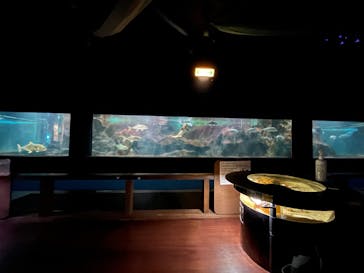 ゼロ距離水族館 伊勢シーパラダイスに投稿された画像（2023/9/27）