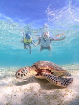 宮古島マリン GB QUESTに投稿された画像（2023/9/27）