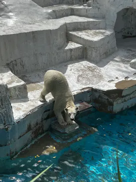 天王寺動物園に投稿された画像（2023/9/27）