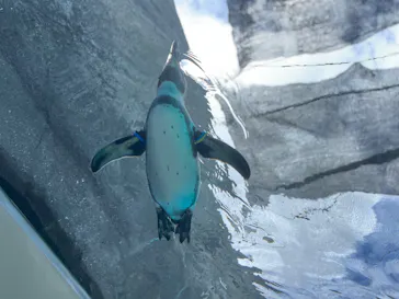 天王寺動物園に投稿された画像（2023/9/27）