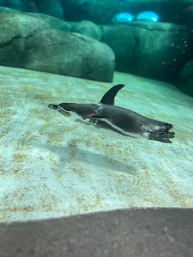 天王寺動物園に投稿された画像（2023/9/27）