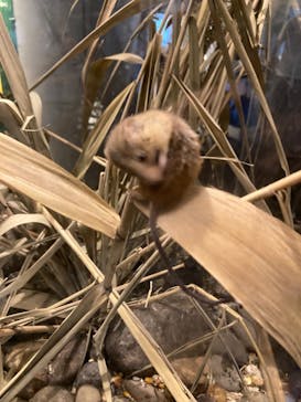 環境水族館アクアマリンふくしまに投稿された画像（2023/9/27）