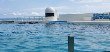 鴨川シーワールドに投稿された画像（2023/9/27）