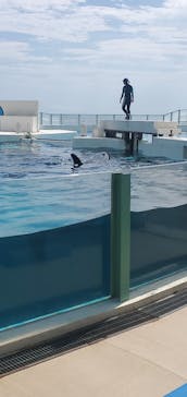 鴨川シーワールドに投稿された画像（2023/9/27）