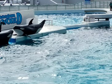 鴨川シーワールドに投稿された画像（2023/9/28）