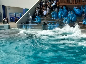 鴨川シーワールドに投稿された画像（2023/9/28）