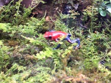 体感型動物園iZooに投稿された画像（2023/9/28）