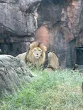 天王寺動物園に投稿された画像（2023/9/28）