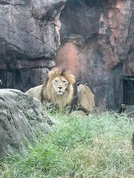 天王寺動物園に投稿された画像（2023/9/28）