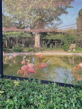 天王寺動物園に投稿された画像（2023/9/28）