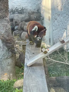 天王寺動物園に投稿された画像（2023/9/28）