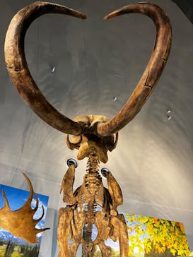 福井県立恐竜博物館に投稿された画像（2023/9/28）