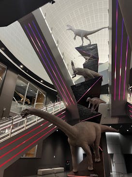 福井県立恐竜博物館に投稿された画像（2023/9/28）