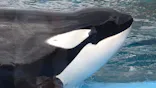 名古屋港水族館に投稿された画像（2023/9/28）