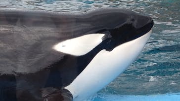 名古屋港水族館に投稿された画像（2023/9/28）