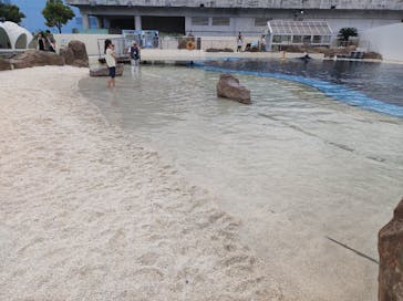 大分マリーンパレス水族館 「うみたまご」に投稿された画像（2023/9/28）