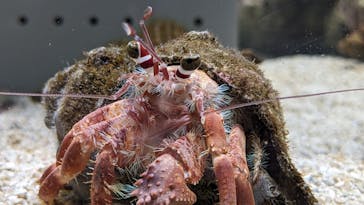 AOAO SAPPOROに投稿された画像（2023/9/28）