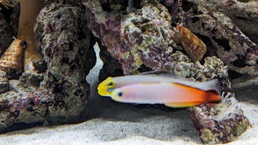 AOAO SAPPOROに投稿された画像（2023/9/28）