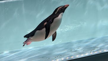 AOAO SAPPOROに投稿された画像（2023/9/28）