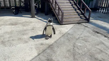 横浜・八景島シーパラダイスに投稿された画像（2023/9/28）